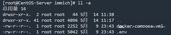 一款超火爆照片管理神器！